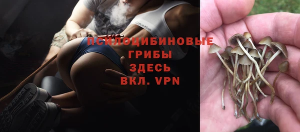 apvp Краснотурьинск