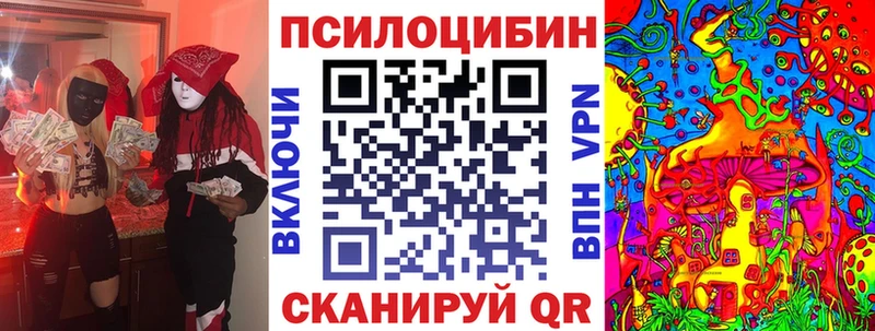 Купить  Воркута  Псилоцибиновые грибы MAGIC MUSHROOMS 